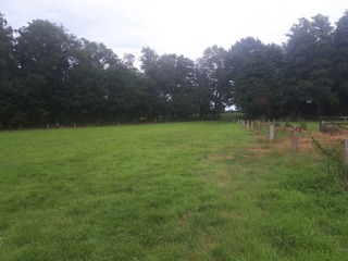 Albergen - Zuidesweg/Kanaal NZ