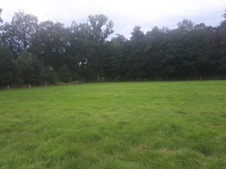 Albergen - Zuidesweg/Kanaal NZ